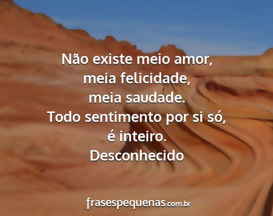 Desconhecido - Não existe meio amor, meia felicidade, meia...