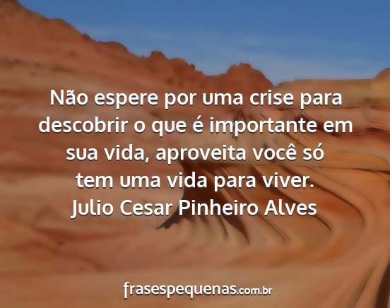 Julio Cesar Pinheiro Alves - Não espere por uma crise para descobrir o que é...