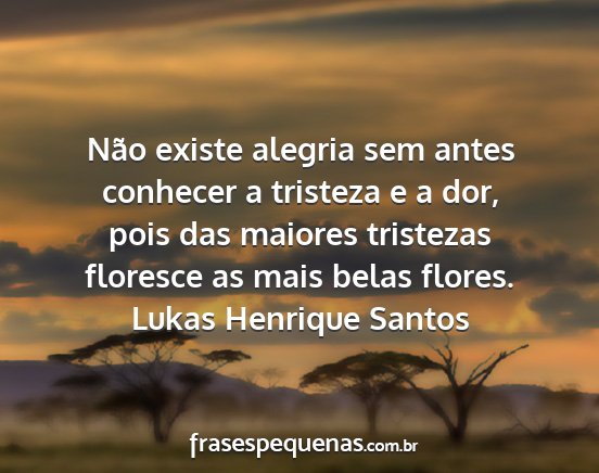 Lukas Henrique Santos - Não existe alegria sem antes conhecer a tristeza...