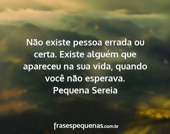 Pequena Sereia - Não existe pessoa errada ou certa. Existe...