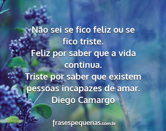 Diego Camargo - Não sei se fico feliz ou se fico triste. Feliz...