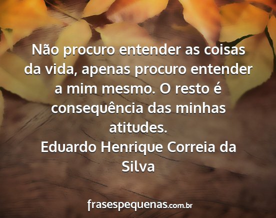 Eduardo Henrique Correia da Silva - Não procuro entender as coisas da vida, apenas...