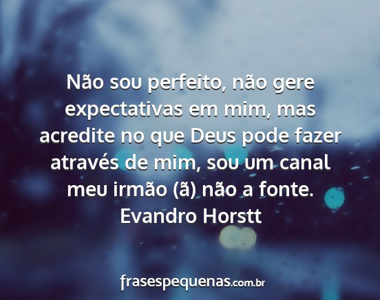 Evandro Horstt - Não sou perfeito, não gere expectativas em mim,...