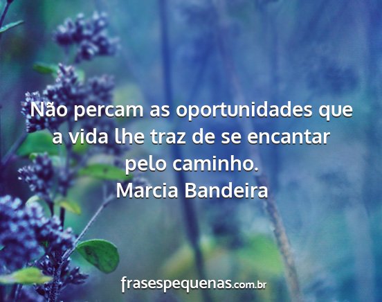 Marcia Bandeira - Não percam as oportunidades que a vida lhe traz...