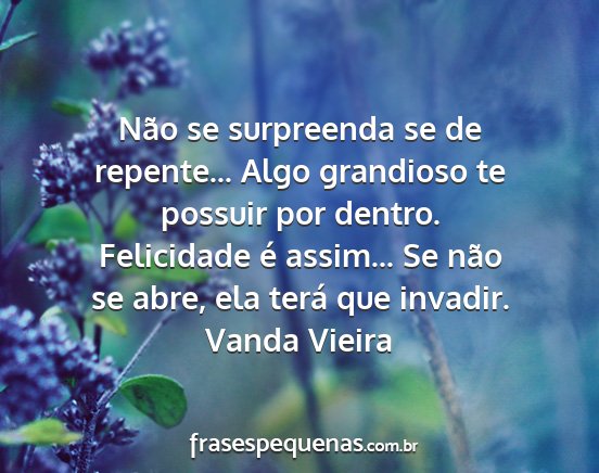 Vanda Vieira - Não se surpreenda se de repente... Algo...