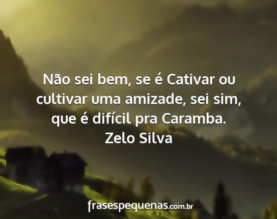 Zelo Silva - Não sei bem, se é Cativar ou cultivar uma...