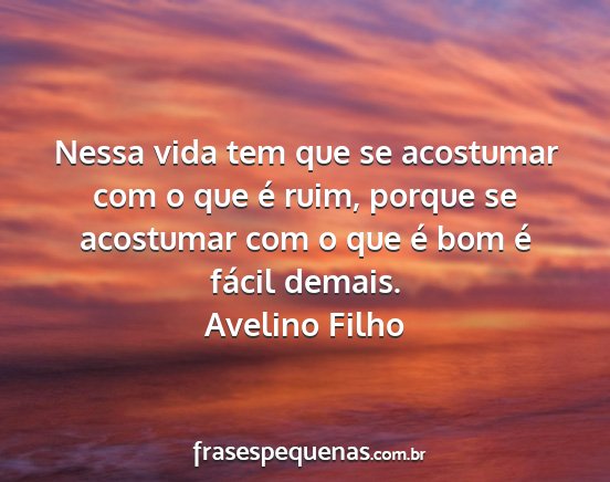 Avelino Filho - Nessa vida tem que se acostumar com o que é...