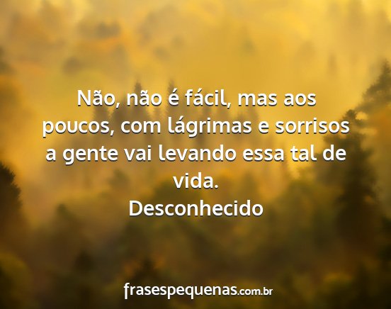 Desconhecido - Não, não é fácil, mas aos poucos, com...