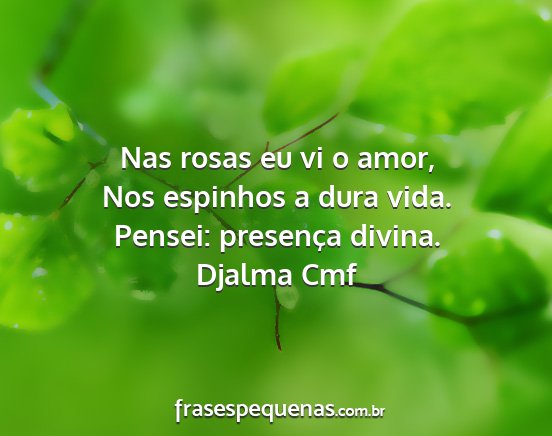 Djalma Cmf - Nas rosas eu vi o amor, Nos espinhos a dura vida....