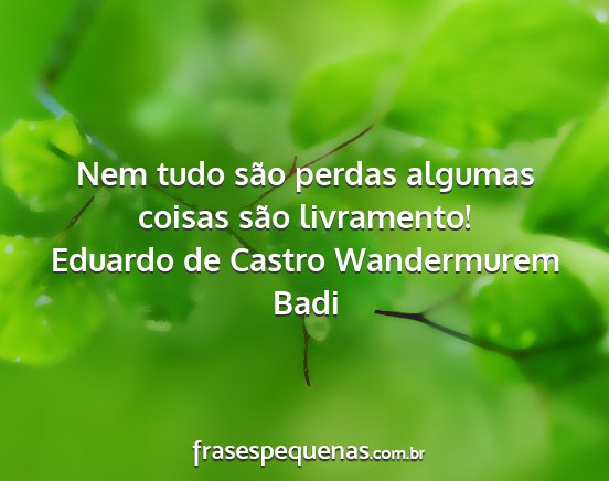 Eduardo de Castro Wandermurem Badi - Nem tudo são perdas algumas coisas são...