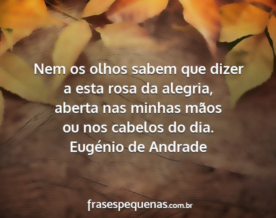 Eugénio de Andrade - Nem os olhos sabem que dizer a esta rosa da...