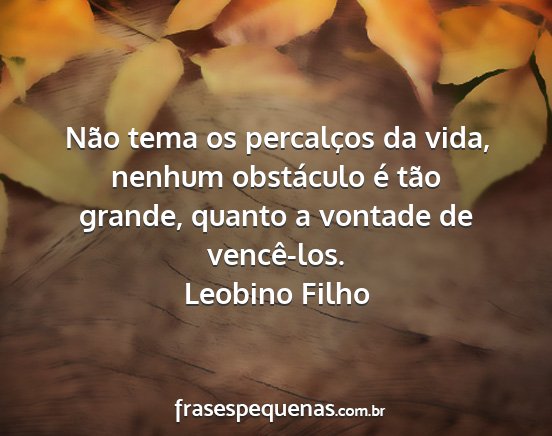 Leobino Filho - Não tema os percalços da vida, nenhum...
