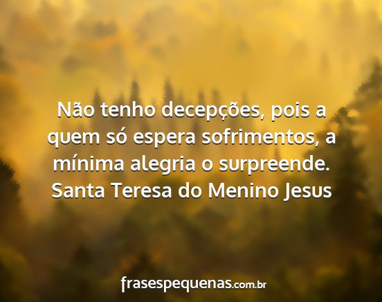 Santa Teresa do Menino Jesus - Não tenho decepções, pois a quem só espera...