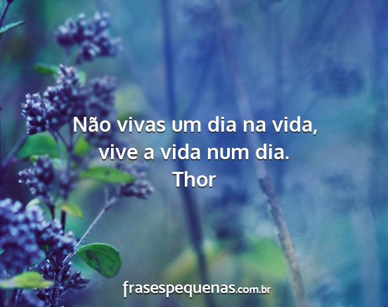 Thor - Não vivas um dia na vida, vive a vida num dia....