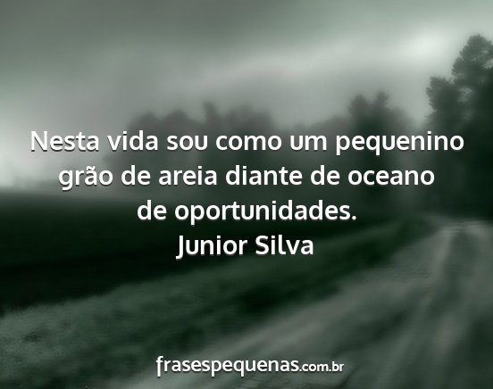 Junior Silva - Nesta vida sou como um pequenino grão de areia...