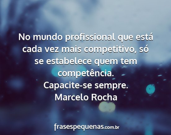 Marcelo Rocha - No mundo profissional que está cada vez mais...