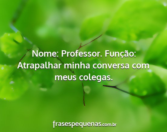 Nome: Professor. Função: Atrapalhar minha...