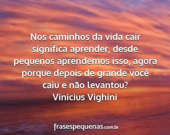 Vinicius Vighini - Nos caminhos da vida cair significa aprender,...