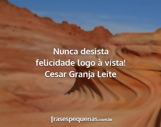 Cesar Granja Leite - Nunca desista felicidade logo à vista!...