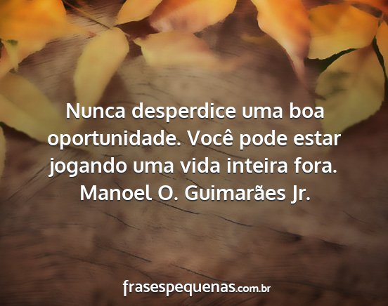 Manoel O. Guimarães Jr. - Nunca desperdice uma boa oportunidade. Você pode...
