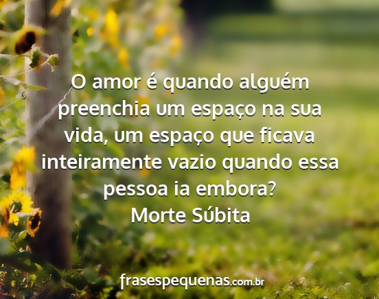 Morte Súbita - O amor é quando alguém preenchia um espaço na...