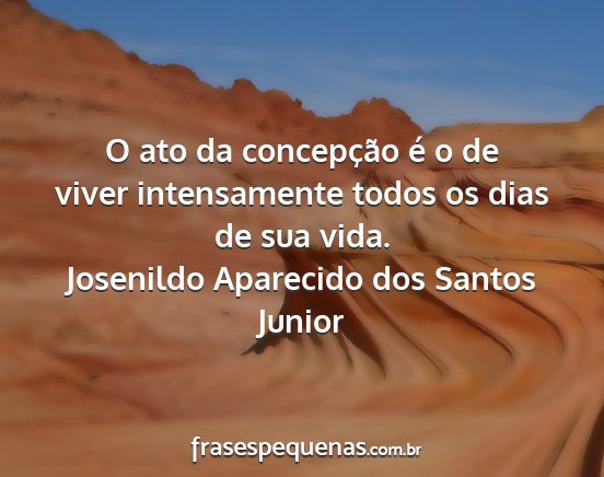 Josenildo Aparecido dos Santos Junior - O ato da concepção é o de viver intensamente...