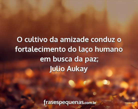 Julio Aukay - O cultivo da amizade conduz o fortalecimento do...