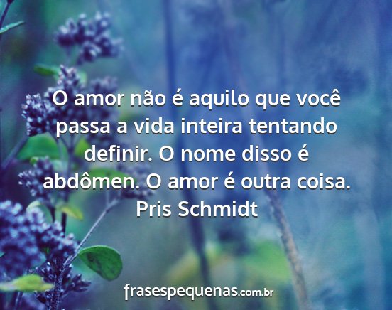 Pris Schmidt - O amor não é aquilo que você passa a vida...