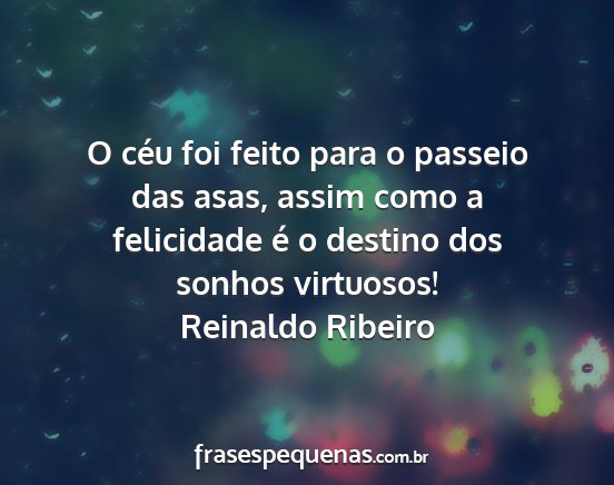 Reinaldo Ribeiro - O céu foi feito para o passeio das asas, assim...