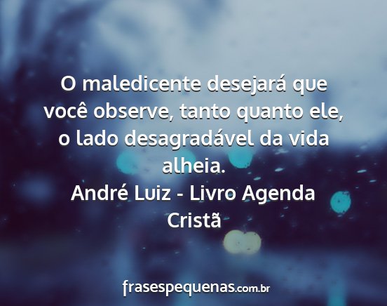 André Luiz - Livro Agenda Cristã - O maledicente desejará que você observe, tanto...