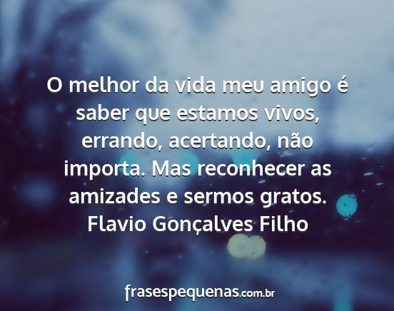 Flavio Gonçalves Filho - O melhor da vida meu amigo é saber que estamos...