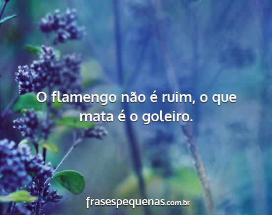 O flamengo não é ruim, o que mata é o goleiro....