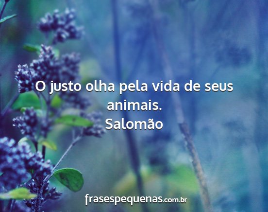 Salomão - O justo olha pela vida de seus animais....