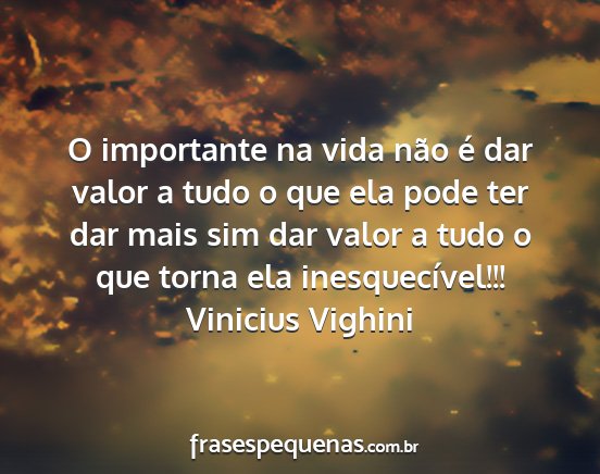 Vinicius Vighini - O importante na vida não é dar valor a tudo o...