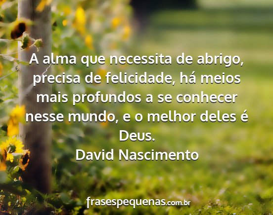 David Nascimento - A alma que necessita de abrigo, precisa de...