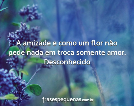 Desconhecido - A amizade e como um flor não pede nada em troca...