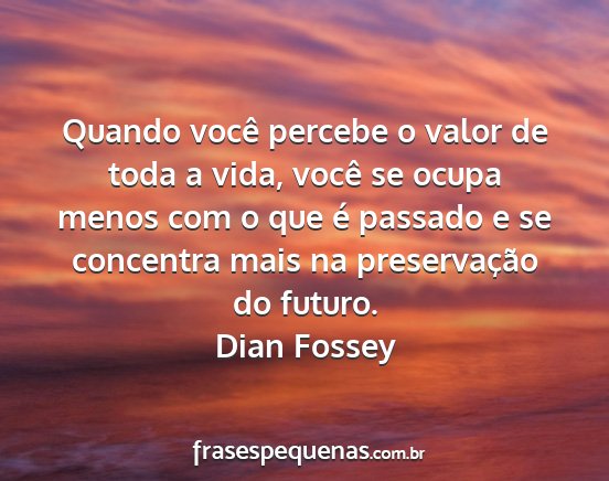 Dian Fossey - Quando você percebe o valor de toda a vida,...