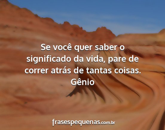 Gênio - Se você quer saber o significado da vida, pare...