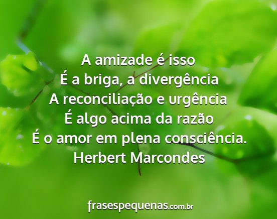 Herbert Marcondes - A amizade é isso É a briga, a divergência A...