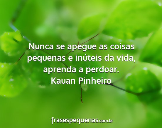 Kauan Pinheiro - Nunca se apegue as coisas pequenas e inúteis da...