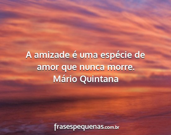 Mário Quintana - A amizade é uma espécie de amor que nunca morre....