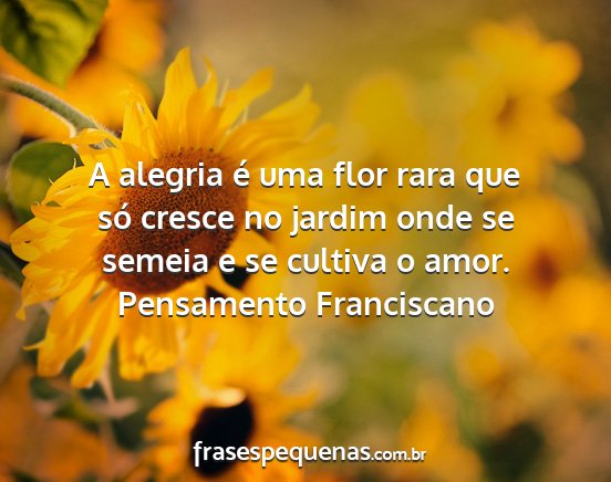 Pensamento Franciscano - A alegria é uma flor rara que só cresce no...