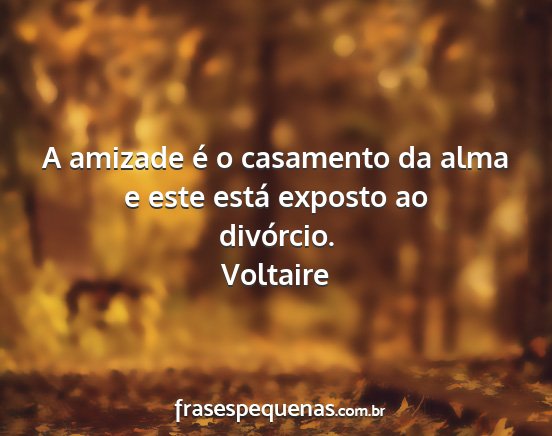 Voltaire - A amizade é o casamento da alma e este está...