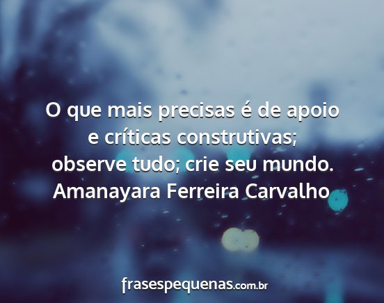 Amanayara Ferreira Carvalho - O que mais precisas é de apoio e críticas...