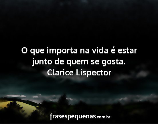 Clarice Lispector - O que importa na vida é estar junto de quem se...