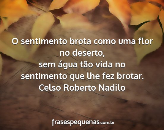 Celso Roberto Nadilo - O sentimento brota como uma flor no deserto, sem...