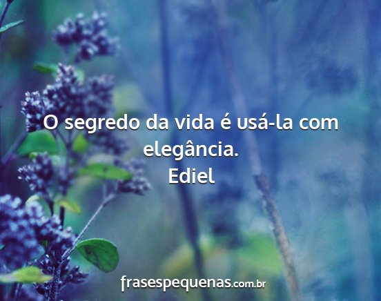 Ediel - O segredo da vida é usá-la com elegância....