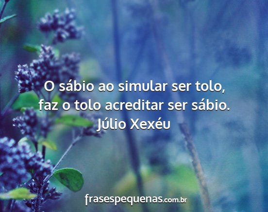 Júlio Xexéu - O sábio ao simular ser tolo, faz o tolo...