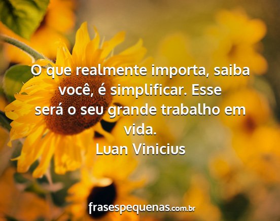 Luan Vinicius - O que realmente importa, saiba você, é...