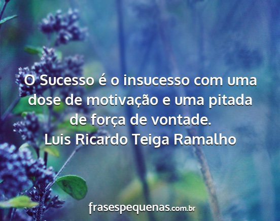 Luis Ricardo Teiga Ramalho - O Sucesso é o insucesso com uma dose de...